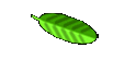 Angebote