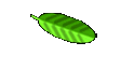 Behandlungsablauf