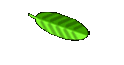 Links