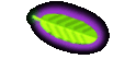 Meine Hunde